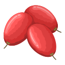 ミラクルフルーツ